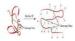 Animal origin free trypsin / trypsin for Enzymatic Hydrolysis of Protein