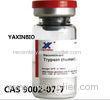recombinant human trypsin for Enzymatic Hydrolysis of Protein