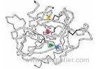 Recombinant chymotrypsin for mass spectrometry Sequencing Grade Chymotrypsin