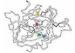 Recombinant chymotrypsin for mass spectrometry Sequencing Grade Chymotrypsin
