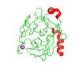 Sequencing grade recombinant trypsin for mass spectrometric analysis