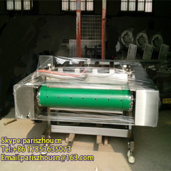 Automatic continuous vacuum packaging machine