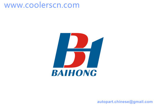 Wenzhou Baihong Auto Parts Co., Limited