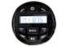 Waterproof Marine outdoor Stereo MP3 player With Bluetooth and RCA out for car Motorcycle Boat