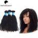 100% Natural Black Kinky Curly European Virgin Hair Of Human Hair Bundles
