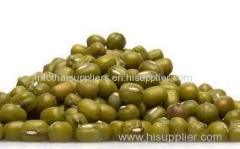 Organic Green mung beans high quality