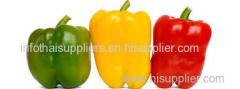 Sell Garlic Ginger Chilli Pepper