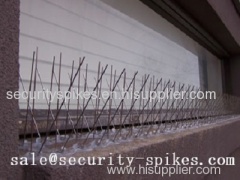 Pigeon Spikes with high quality