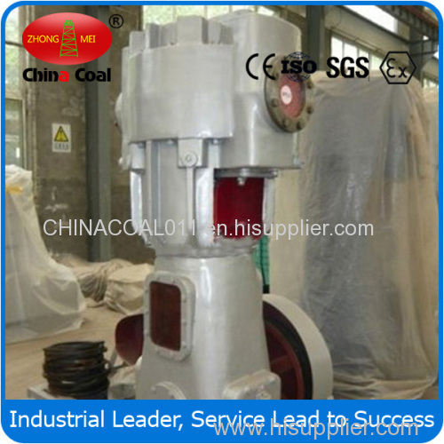 WLW Vertical Oilless Vacuum Pump