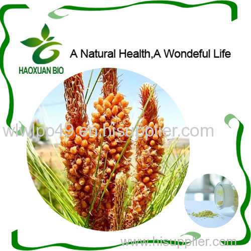 Nutritional Supplement Pine Pollen Powder