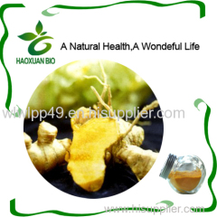 Nutritional Supplement Turmeric Root Extract