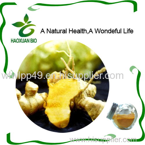 Nutritional Supplement Turmeric Root Extract