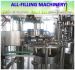 Automatic water filling machine