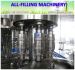 Automatic water filling machine