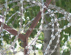 Concertina Coil Razor Wire Fencing