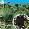 green vegetable Nitrogen fertilizer +TE fertilizer