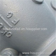 Marine Cast Iron Check Valve