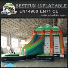New design inflatable water slide with pool and climbing wall