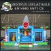 Shark Inflatable Giant Playground Equipment