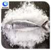 Frozen Style and Mackerel Variety Best quality Spanish Mackerel (King Fish)