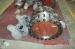 Pneumatic Piston Carbon Steel High Temperature Butterfly Valves CE TRCU ISO9001