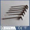 SUS 316 Stainless steel Clinch Nails Annular Grooved 2