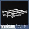 12# x 50MM Stainless Steel Screw Shank Nails For Wooden project