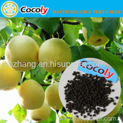 granular fertilizer/ potassium water soluble fertilizer