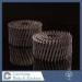 Flat head / Oval Head Stainless Steel Coil Nails for roofing and siding