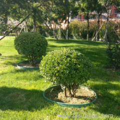 Garden Landscaping Border Edging