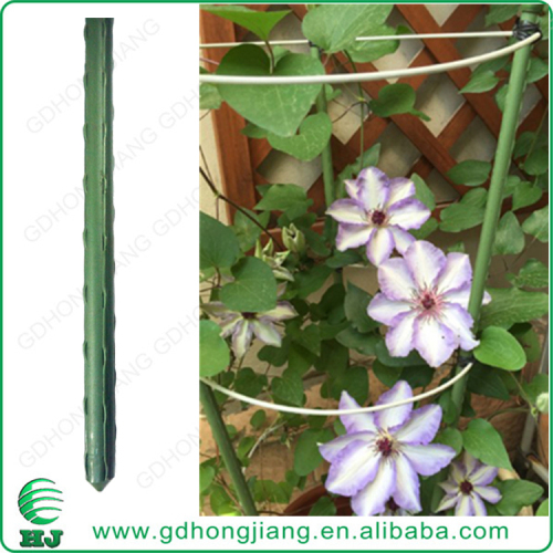 Plastic Coated Stake foshan factory