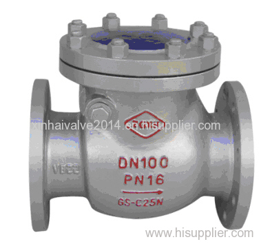 Stainless Steel Swing Check Valves