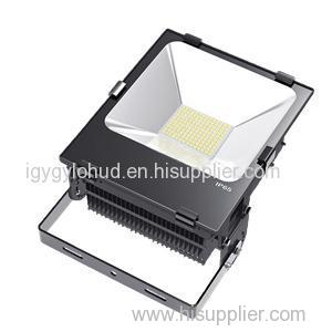 100W LED Flood Light