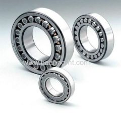 Professional Designed Cylindrical Roller Bearing