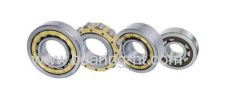 Professional Designed Cylindrical Roller Bearing