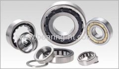 62mm diameter Cylindrical roller bearing