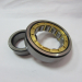 Steel cage cylindrical roller bearing with hot sale competitive price high quality