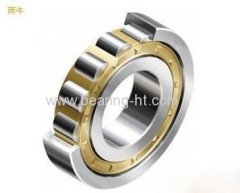 China KGS Brand Cylindrical Roller Bearing