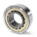 nu type roller bearing cylindrical roller bearing