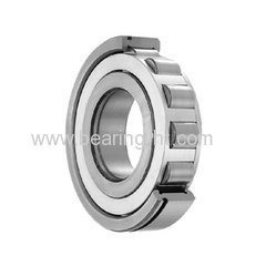 Big Bearing Cylindrical roller bearing with full sizes