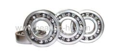 Full complement Deep Groove Ball Bearing