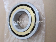 Double Row Angular Contact Ball Bearing