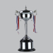 Trophy trophy trophy trophy