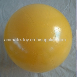 Animate Fitness Ball-China Ball Manufacturer