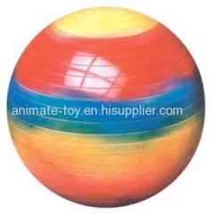 Animate Fitness Ball-China Ball Producer