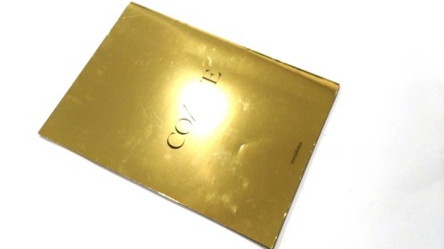 Gold metallic softcover business brochure