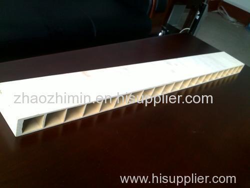 PVC Wood-Plastic Foam Door Plate Extrusion Line (SJSZ)