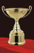 Trophy wholesale trophy group purchasetrophy retail