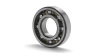 OEM Accepted Deep Groove Ball Bearing