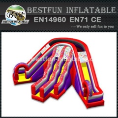 Design promotion inflatable slides